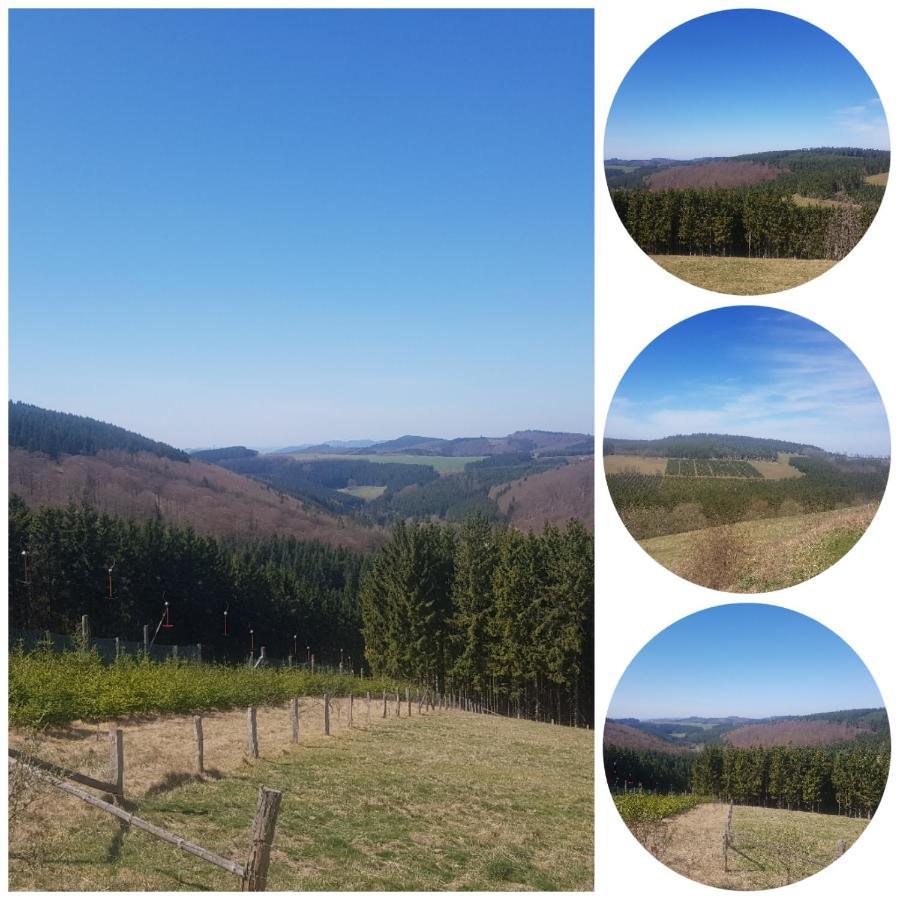 Ferienwohnung Parkblick Medebach Kültér fotó