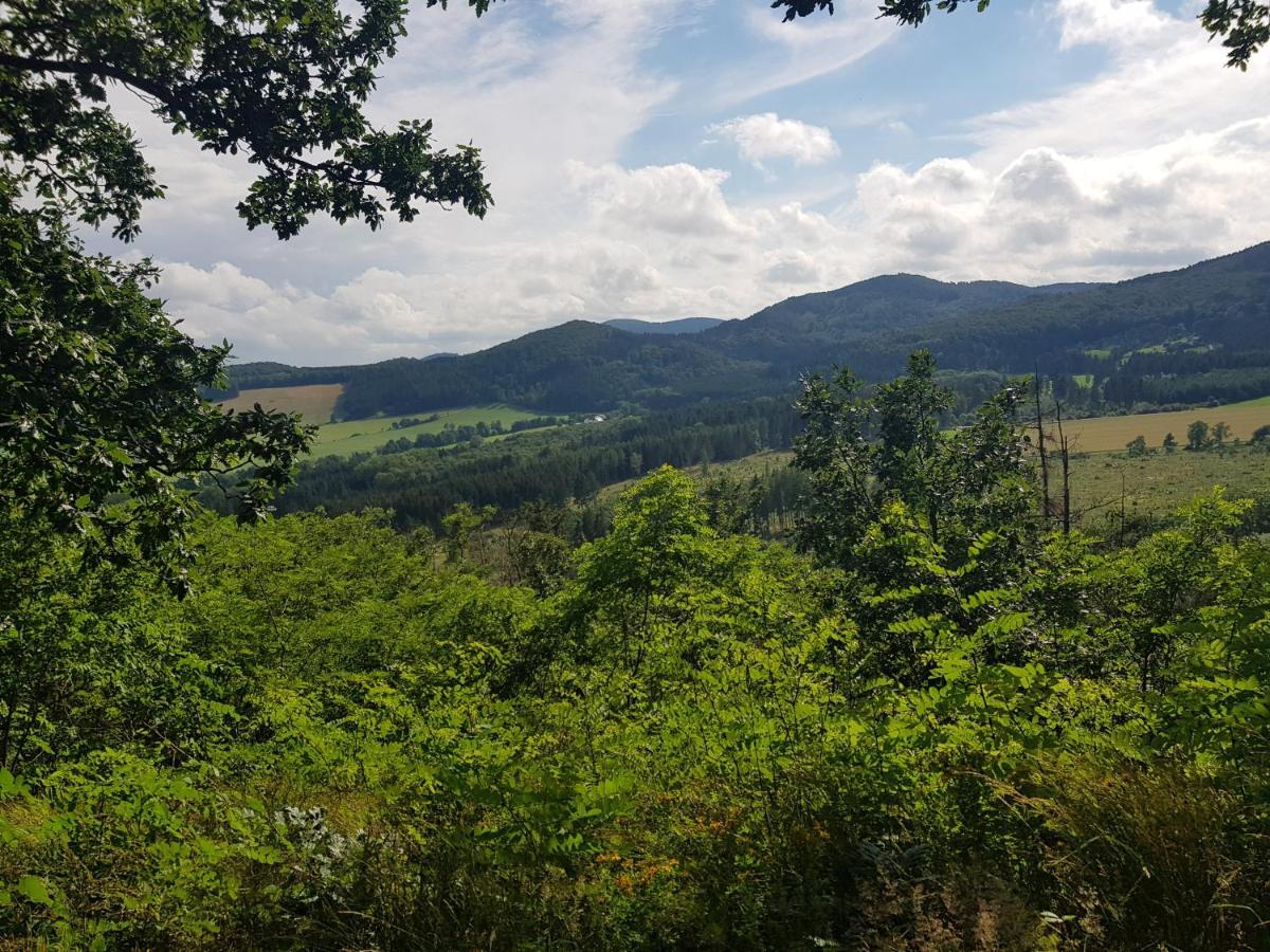 Ferienwohnung Parkblick Medebach Kültér fotó